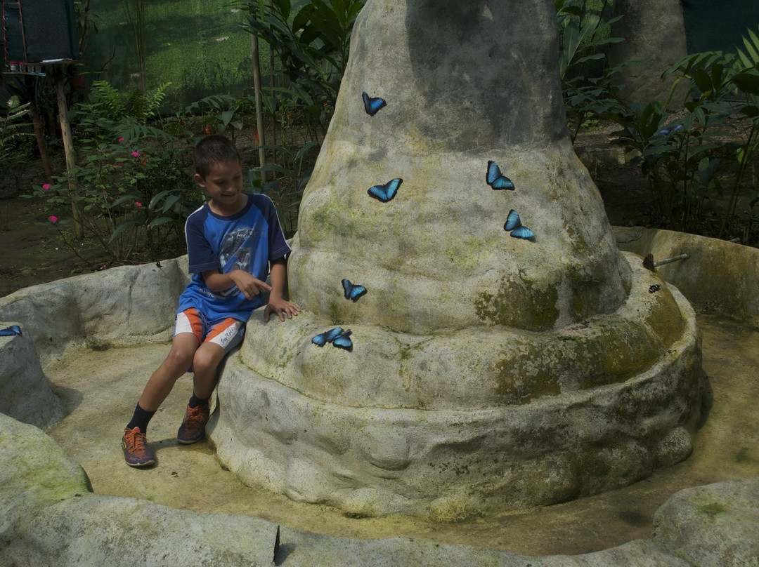 The Motmot Jungle-福德圣卡洛斯必去景点