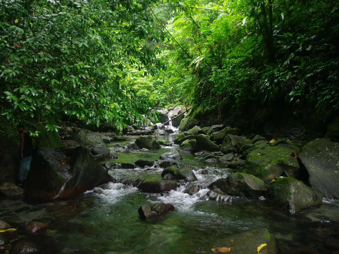 Sari-Sari Waterfall-多米尼克必去景点