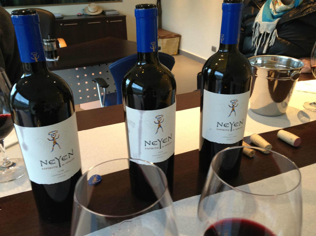 Viña Neyen de Apalta-圣克鲁斯必去景点