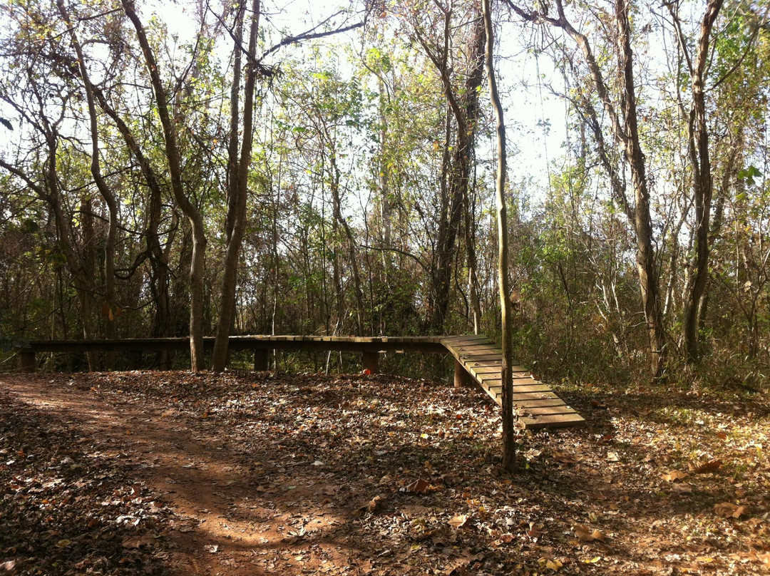 Justin P. Brindley Trail-舒格兰必去景点