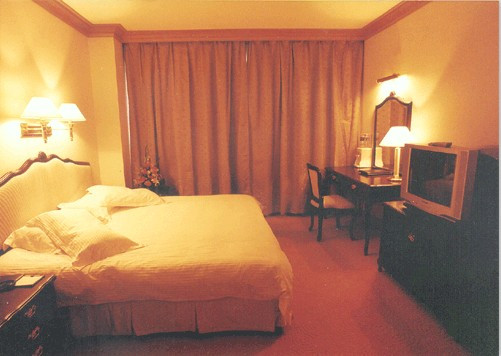 银星大酒店主图