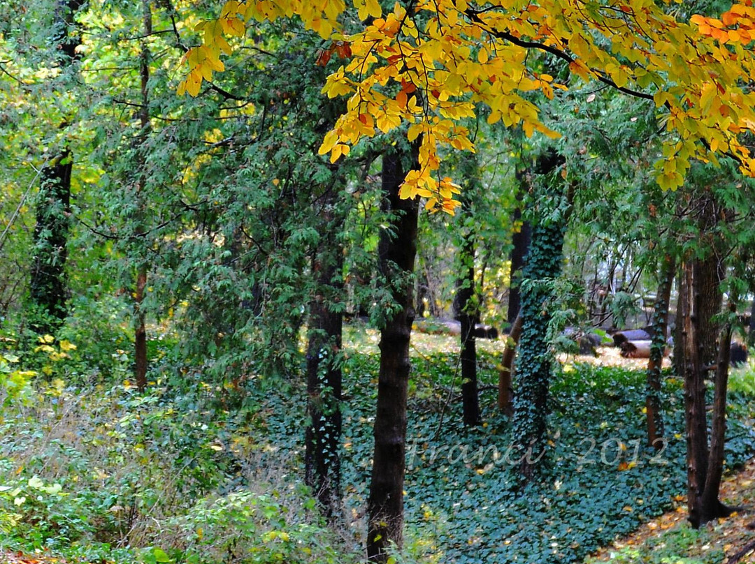 爱德华公园-多伦多必去景点