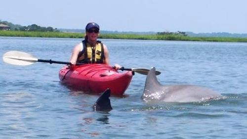 Barefoot Bubba's Kayak Rentals and Shop-Harbor Island必去景点