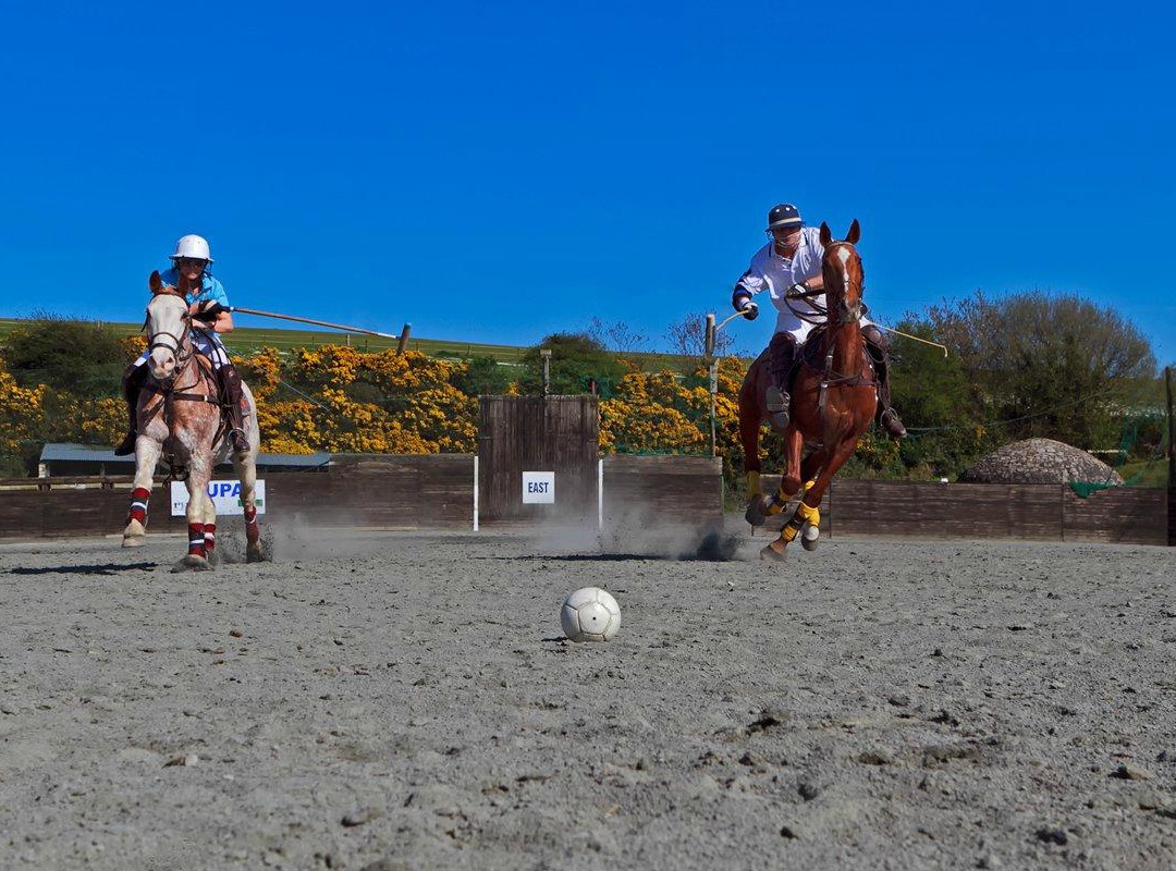 Polo Wicklow-Wicklow必去景点