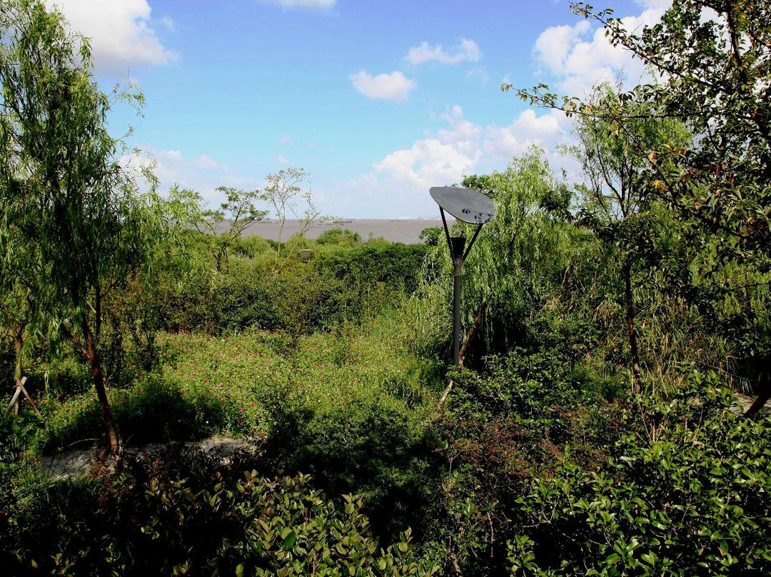 吴淞口炮台湾湿地森林公园-上海市必去景点