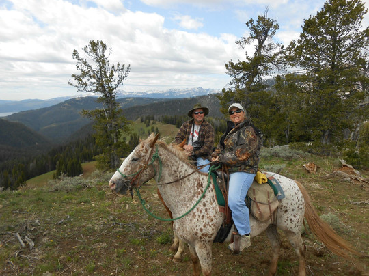 Yellowstone Mountain Guides Day Tours-西黄石镇必去景点