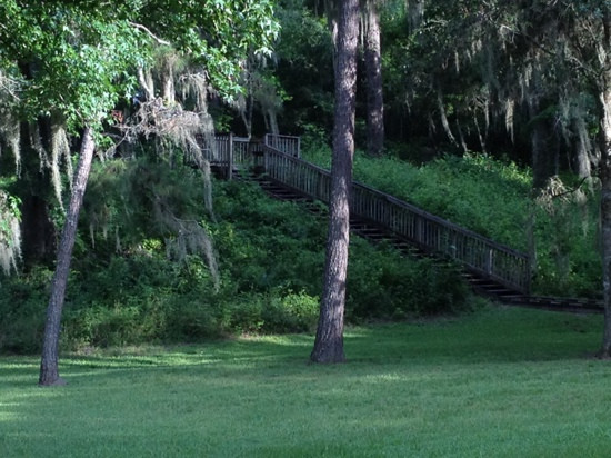 Lake Jackson Mounds Archaeological State Park景点图片
