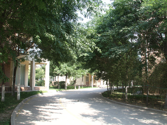 华山莲花山庄主图