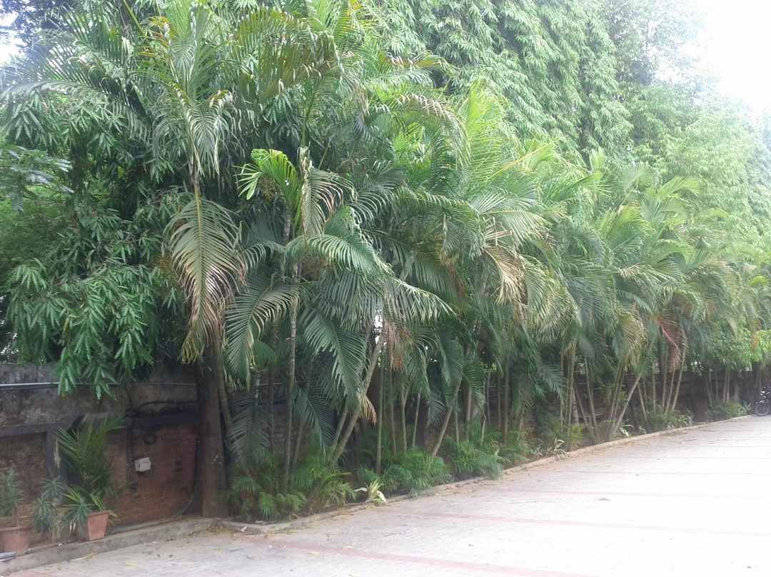 Hotel Fort Palace主图