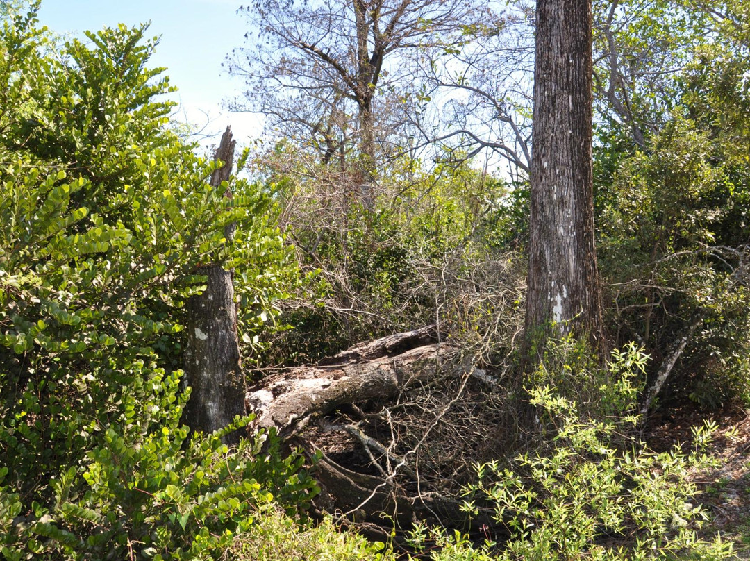 Secret Woods Nature Center-达尼亚滩必去景点