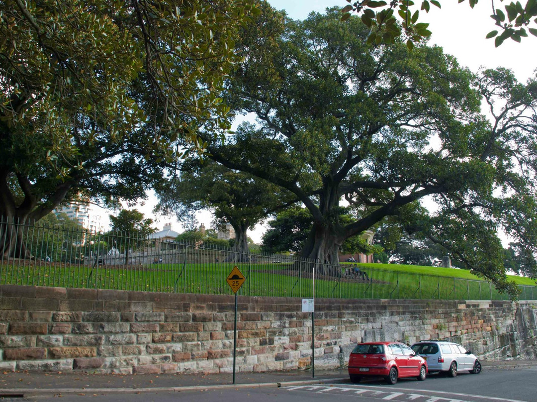 米勒斯角-悉尼必去景点