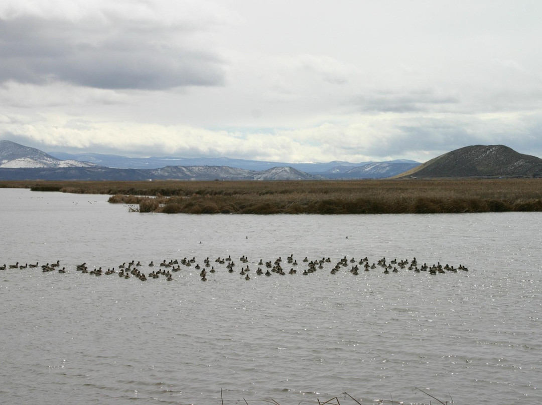 Tule Lake National Wildlife Refuge-Tulelake必去景点