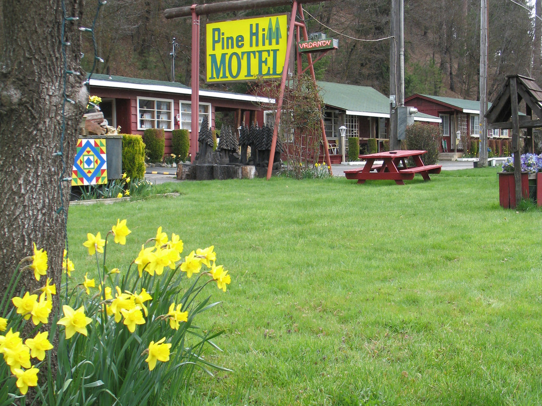 Pine Hill Motel主图