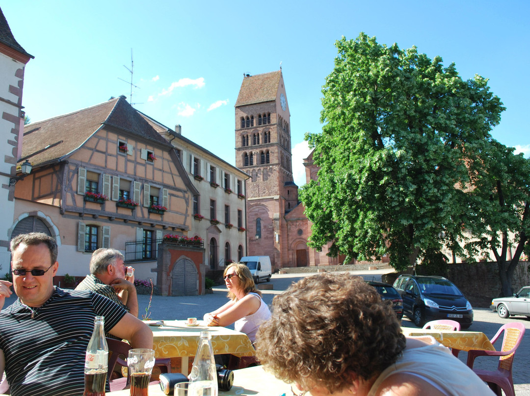 Hotel le Relais du Vignoble主图