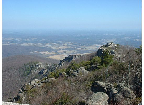 Old Rag Mountain Hike景点图片