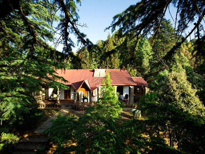 Mary Budden Estate