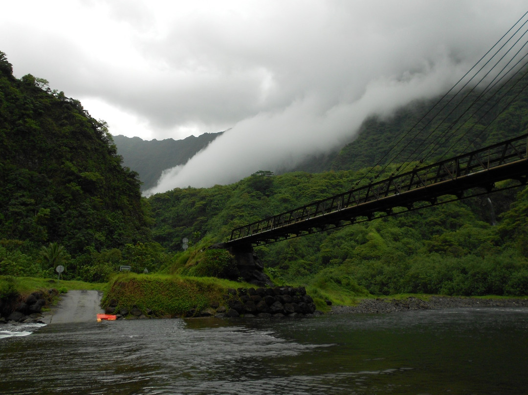 Tahiti Safari Expedition景点图片