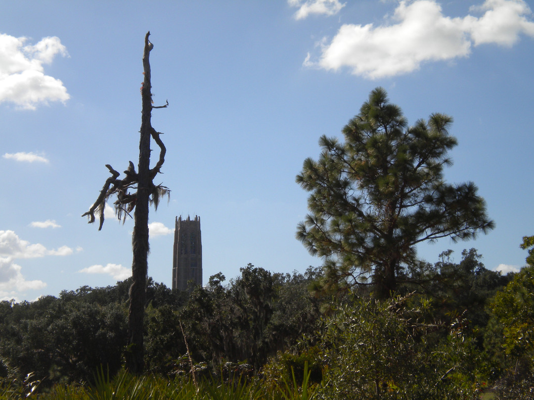 Bok Tower Gardens景点图片