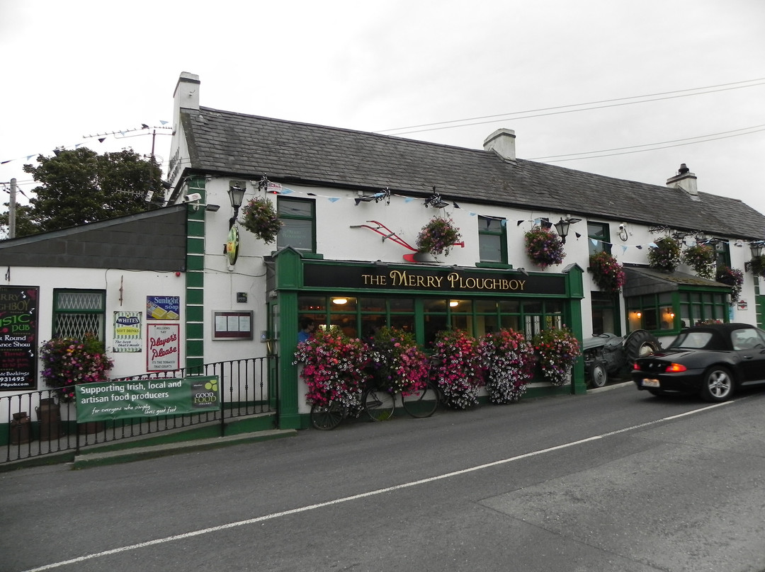 The Merry Ploughboy Irish Music Pub夜店-都柏林必去景点