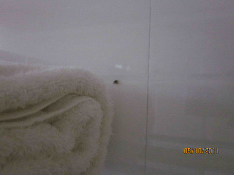 南宁城市便捷酒店科园店主图