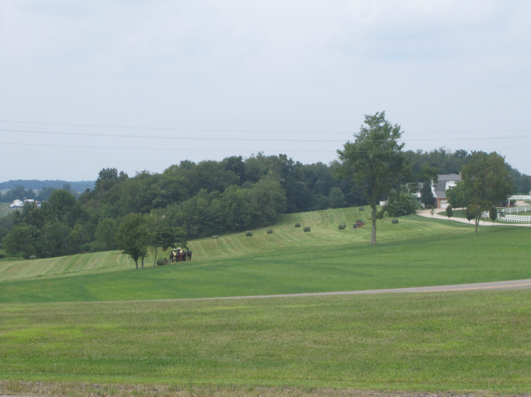 Wendell August Ohio Amish Country Store-Berlin必去景点
