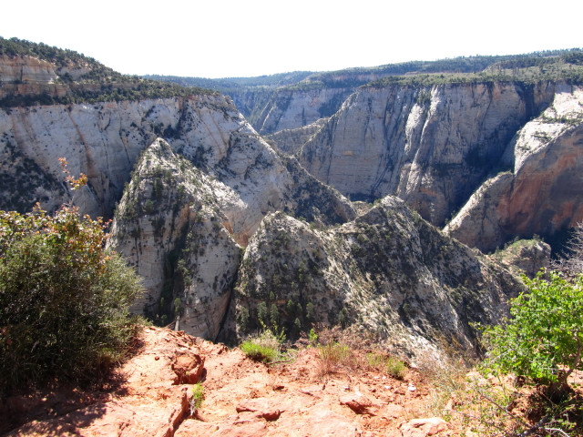 Observation Point-锡安国家公园必去景点