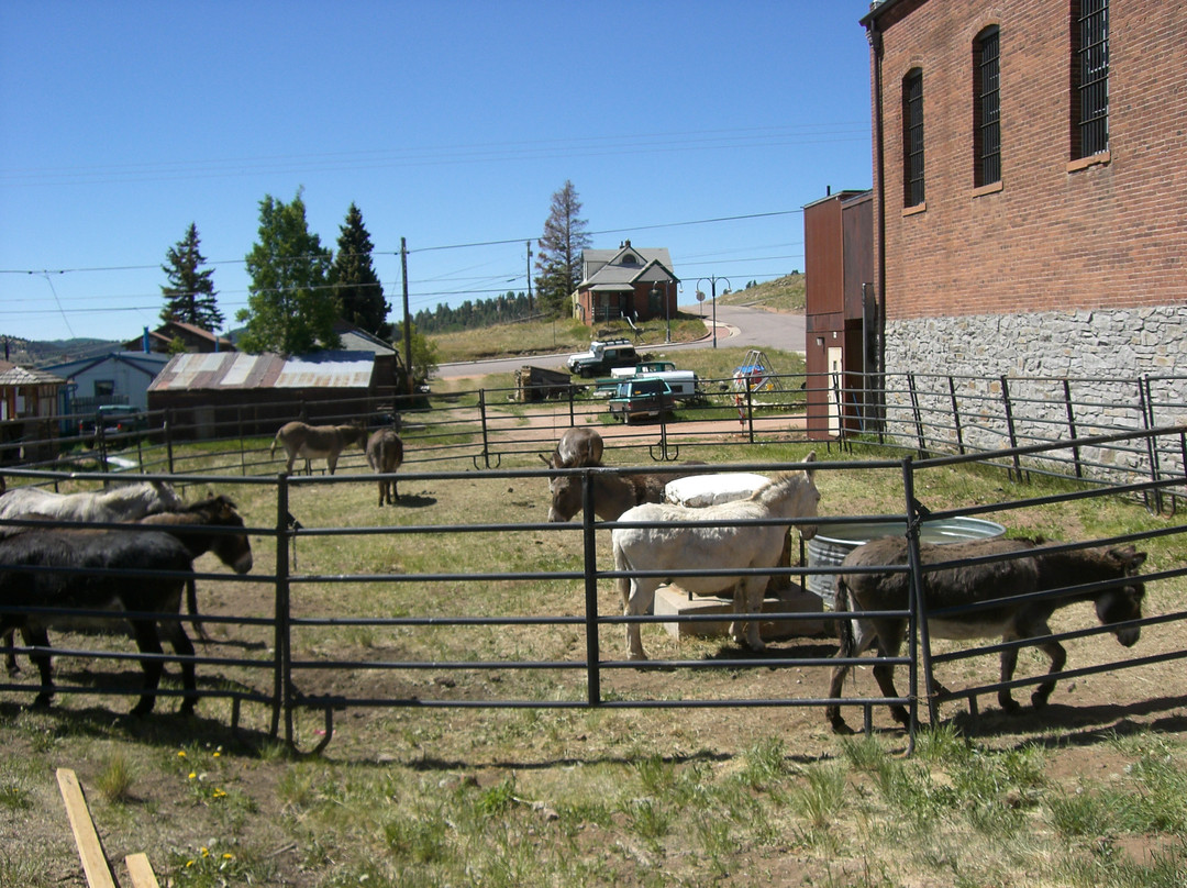 Outlaw and Lawmen Jail Museum-克里普尔溪必去景点