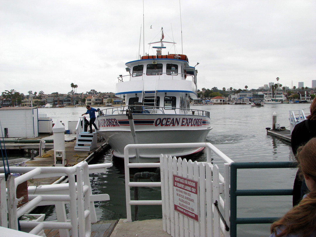 Newport Landing Whale Watching-纽波特海滩必去景点