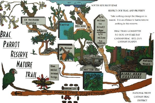 Parrot Preserve-Cayman Brac必去景点