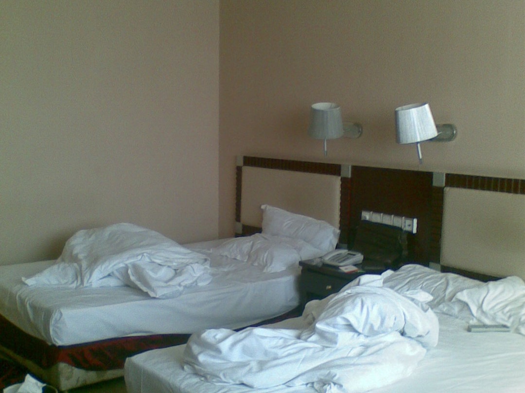 鸿瑞大酒店主图