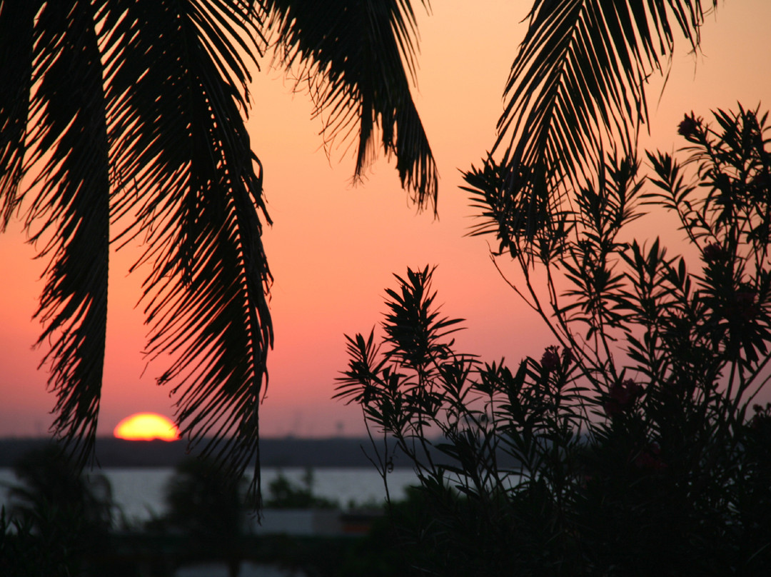 Alma's LDS Tours-坎昆必去景点