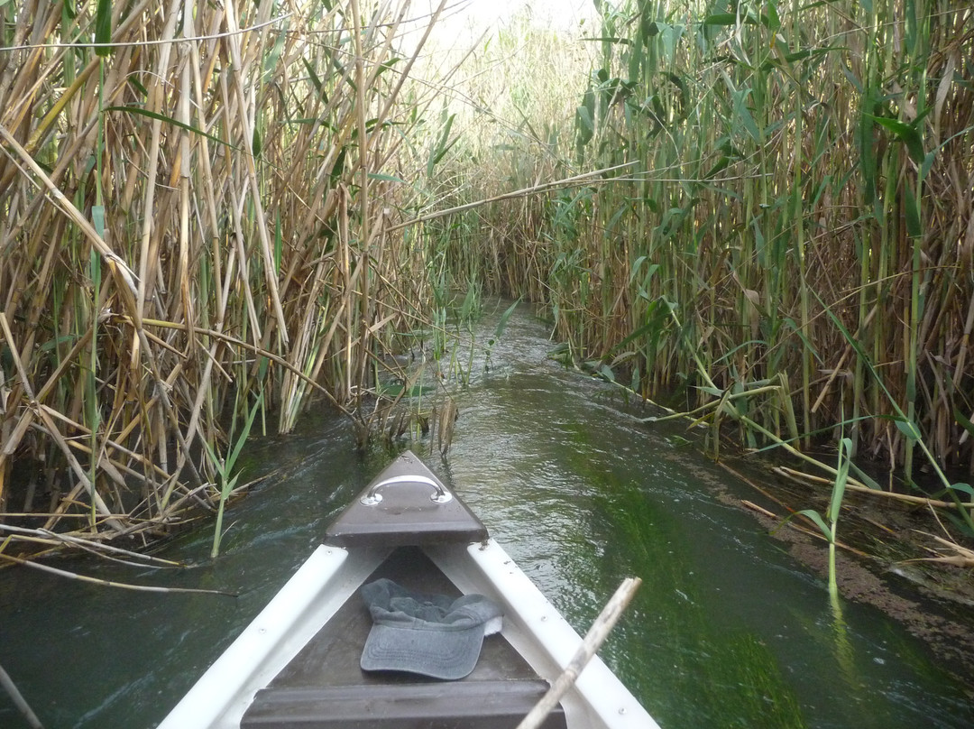 Crisscross Adventures-阿多必去景点