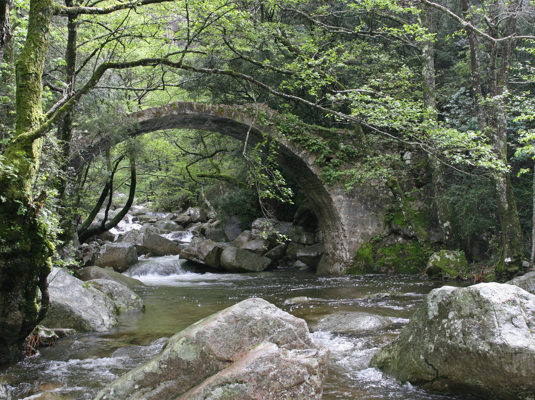 Gorges de la Spelunca-科西嘉必去景点