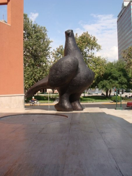 Museo de Arte Contemporaneo (MARCO)景点图片