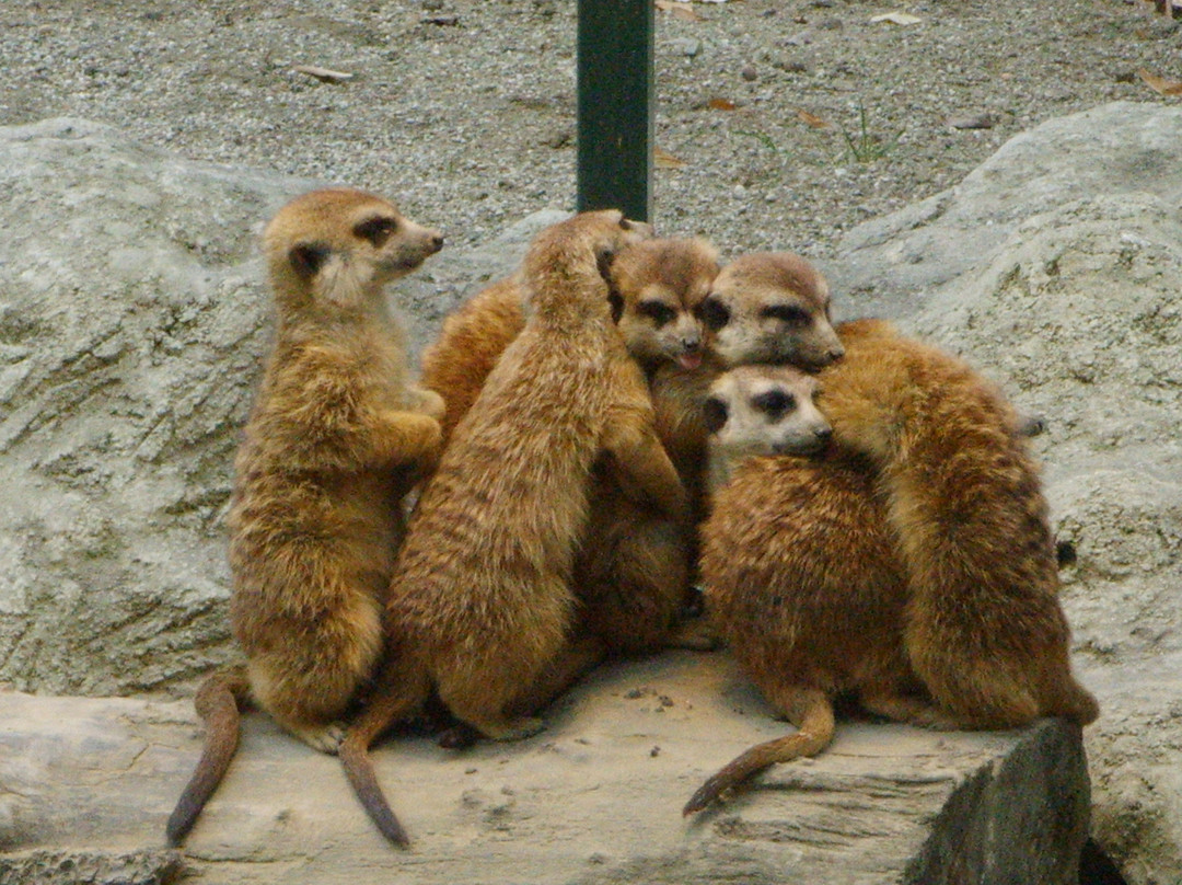 Zoo Zagreb-萨格勒布必去景点