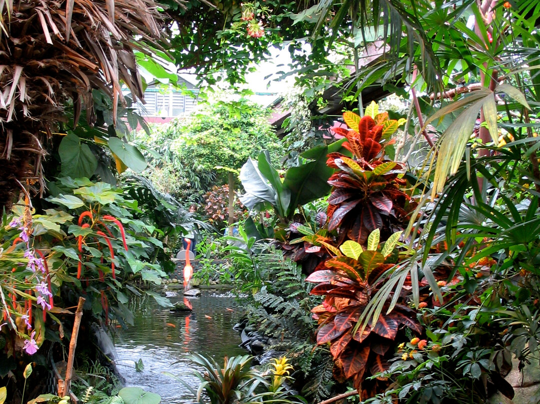 Victoria Butterfly Gardens景点图片