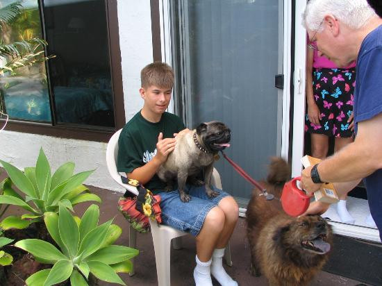 齐亚伊凯家庭式酒店主图