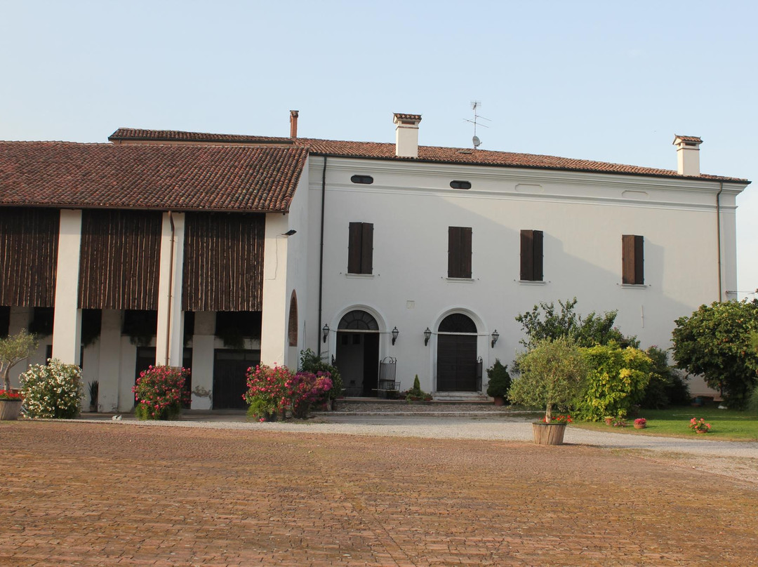 San Giorgio di Mantova旅游攻略图片