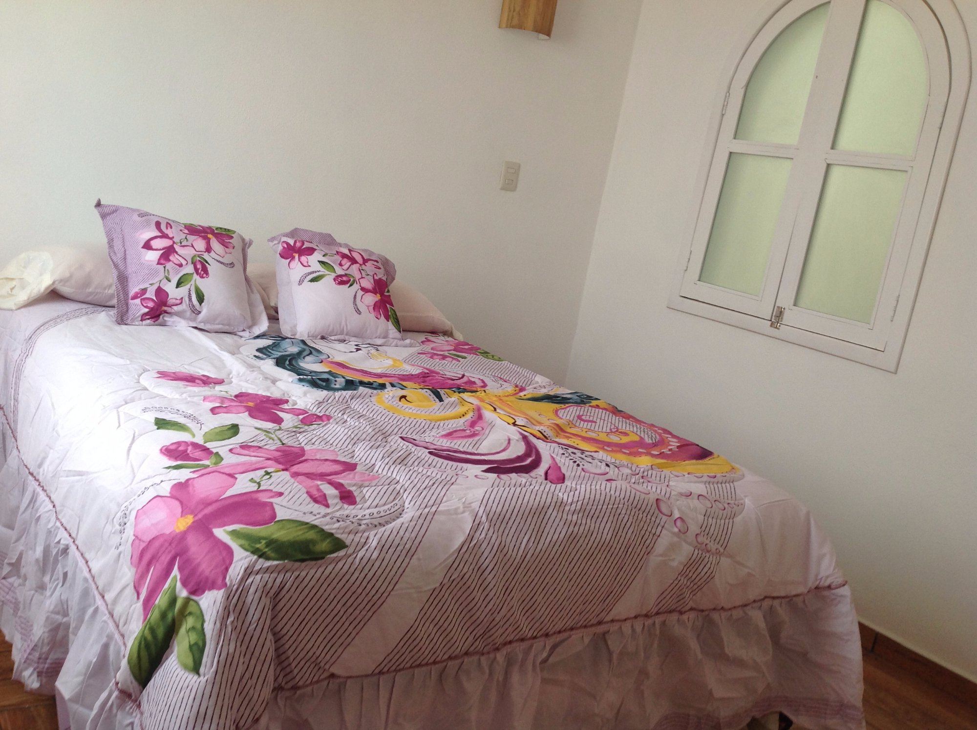Maggic Home Panoramica-官方