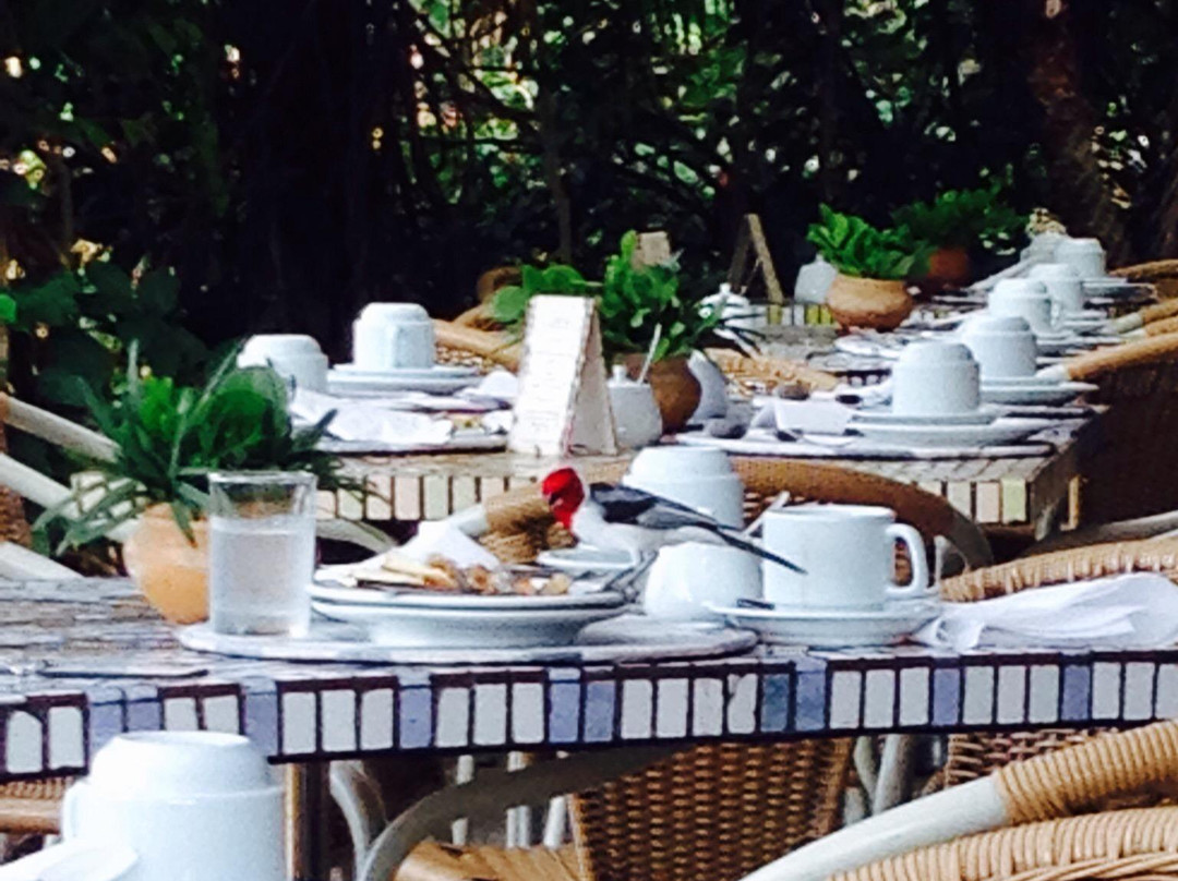 Andradas酒店住宿-Hotel Canto Das Aguas