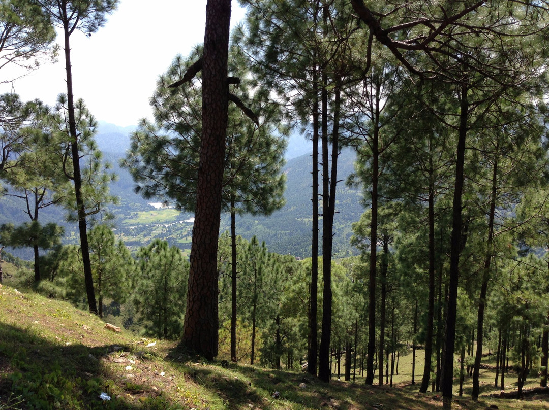 Askotias Himalayan Guest House
