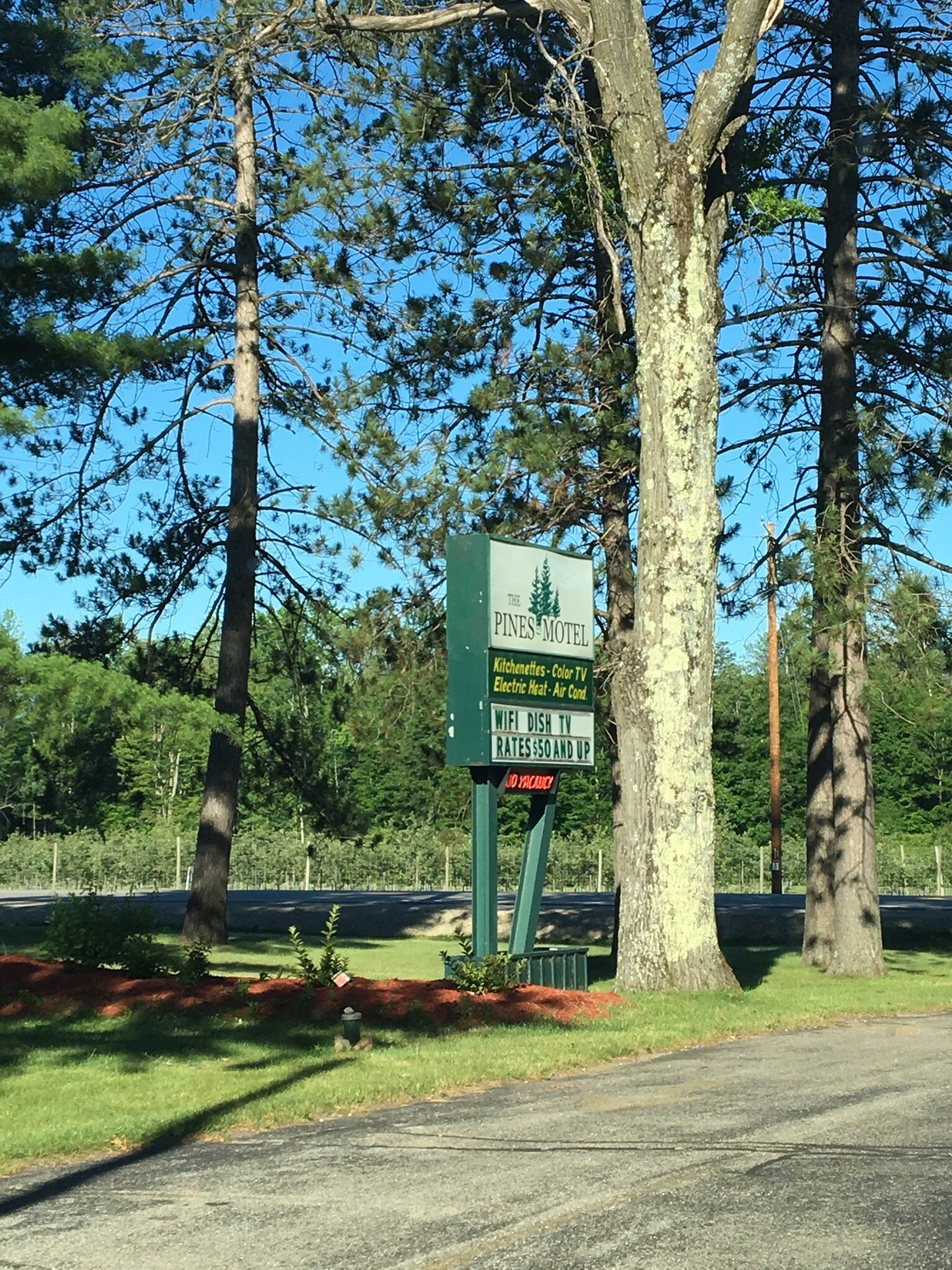The Pines Motel-官方