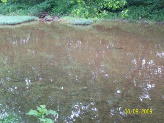 Perryville旅游攻略图片