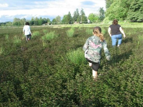 Aumsville旅游攻略图片