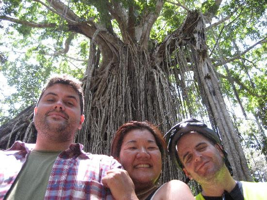 Bandicoot Bicycle Tours-Holloways Beach必去景点