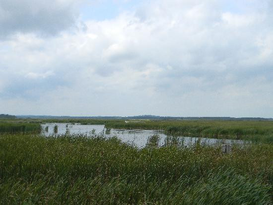 Parker River National Wildlife Refuge-纽伯里波特必去景点