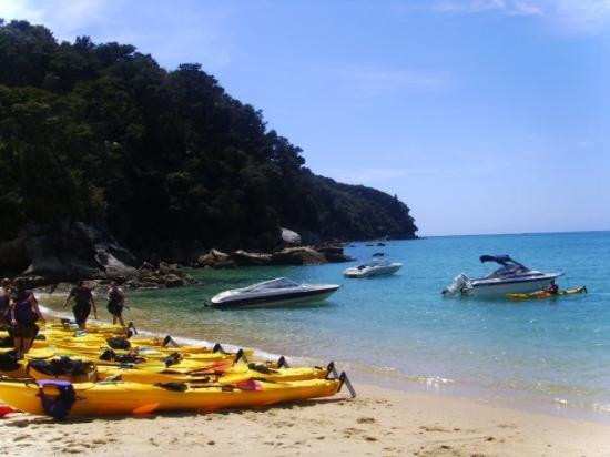 null-Abel Tasman National Park