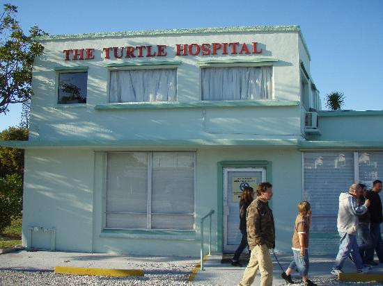 The Turtle Hospital-马拉松必去景点