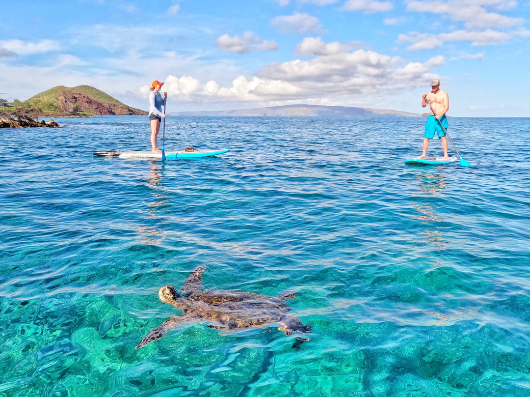 Maui Stand Up Paddle Adventures-基黑必去景点