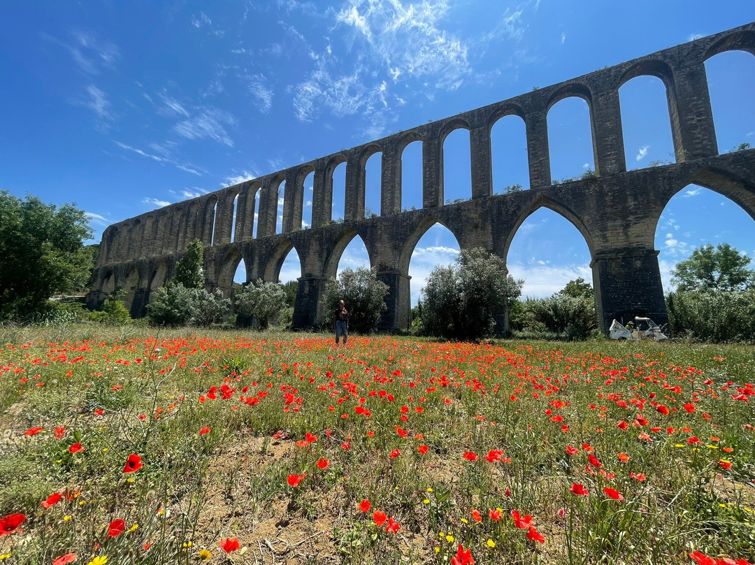 Aqueduto dos Pegões景点图片